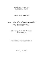 Luận văn:Giải pháp xóa đói giảm nghèo của huyện Kon Rẫy,tỉnh Kon Tum ppt
