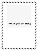 700 năm gốm Bát Tràng pdf