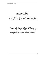 Tổ chức bộ máy kế toán và hệ thống kế toán tại Công ty cổ phần hóa dầu VHP