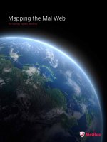 Mapping the Mal Web - The world’s riskiest domains docx