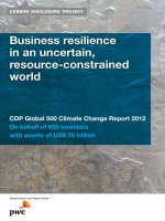 Business resilience in an uncertain, resource-constrained world pot