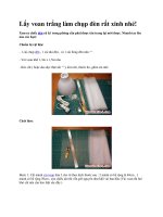 Lấy voan trắng làm chụp đèn rất xinh nhé ppt