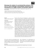 Báo cáo khoa học: Cleavage site analysis of a serralysin-like protease, PrtA, from an insect pathogen Photorhabdus luminescens and development of a highly sensitive and speciﬁc substrate pdf