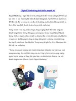 Digital Marketing phát triển mạnh mẽ ppt