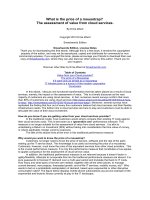 What is the price of a mousetrap? The assessment of value from cloud services pptx