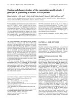 Báo cáo Y học: Cloning and characterization of the mammalian-speciﬁc nicolin 1 gene (NICN1) encoding a nuclear 24 kDa protein doc