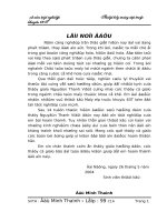 thuyet minh tot nghiep minh thanh doc