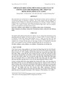 KHẢO SÁT KHẢ NĂNG TIẾT CELLULASE CỦA CÁC CHỦNG NẤM TRICHODERMA THU THẬP TẠI ĐỒNG BẰNG SÔNG CỬU LONG ppt