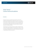 Dolby Atmos Cinema Technical Guidelines pptx