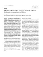 A review on the cd content of rice daily cd intake and accumulation in the kidneys