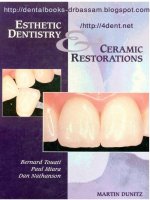 Esthetic Dentistry and Ceramic Restorations pdf