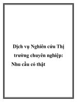 Dịch vụ Nghiên cứu Thị trường chuyên nghiệp: Nhu cầu có thật pdf