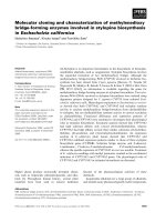 Báo cáo khoa học: Molecular cloning and characterization of methylenedioxy bridge-forming enzymes involved in stylopine biosynthesis in Eschscholzia californica doc