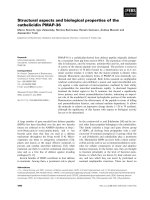 Báo cáo khoa học: Structural aspects and biological properties of the cathelicidin PMAP-36 pot