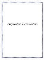 CHỌN GIỐNG VÀ THẢ GIỐNG pot