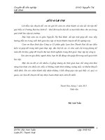 Kế toán nguyên vật liệu - công cụ dụng cụ tại Công ty Cổ phần giấy Lam Sơn Thanh Hoá