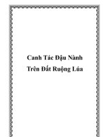 Canh Tác Đậu Nành Trên Đất Ruộng Lúa potx