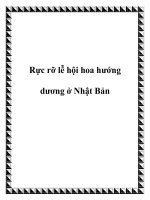 Rực rỡ lễ hội hoa hướng dương ở Nhật Bản pot