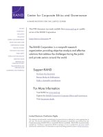 Chinese Corporate Governance doc