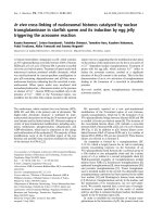 Báo cáo khoa học: In vivo cross-linking of nucleosomal histones catalyzed by nuclear transglutaminase in starﬁsh sperm and its induction by egg jelly triggering the acrosome reaction pdf