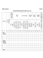 MẪU TỔNG HỢP TÌNH HÌNH THỰC HIỆN CÁC DỰ ÁN ĐẦU TƯ QUÝ …/NĂM pptx