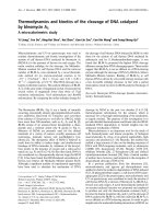 Báo cáo Y học: Thermodynamics and kinetics of the cleavage of DNA catalyzed by bleomycin A5 A microcalorimetric study pdf