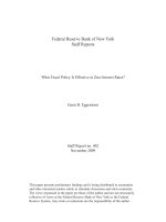 Federal Reserve Bank of New York Staff Reports: What Fiscal Policy Is Effective at Zero Interest Rates? pot