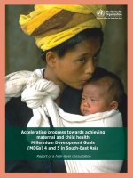 High-level consultation to accelerate progress towards achieving maternal and child health Millenium Development Goals (MDGs) 4 and 5 in South-East Asia pot