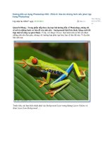 phần 9-Xóa bỏ những hình nền phức tạp trong Photoshop ppt