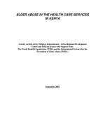 ELDER ABUSE IN THE HEALTH CARE SERVICES IN KENYA docx