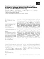 Báo cáo khoa học: Isolation, characterization, sequencing and crystal structure of charybdin, a type 1 ribosome-inactivating protein from Charybdis maritima agg. potx