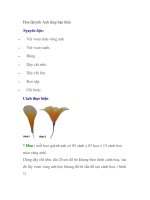 Hoa Quỳnh Anh tặng bạn thân doc