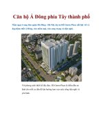 Căn hộ Á Đông phía Tây thành phố pot