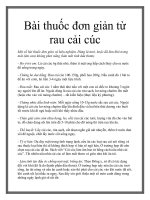 Bài thuốc đơn giản từ rau cải cúc docx