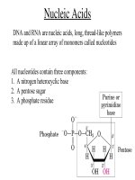 Day one nucleic acid structure and function