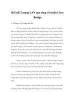 Kết nối 2 mạng LAN qua sóng vô tuyến Cisco Bridge pdf