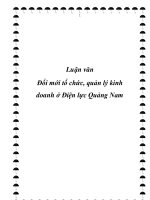 Luận văn Đổi mới tổ chức, quản lý kinh doanh ở Điện lực Quảng Nam pot