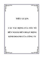 các tác động của yếu tố bên ngoài đến hoạt động kinh doanh của công ty cổ phần union