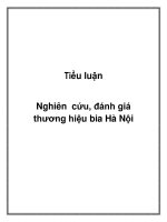tiểu luận nghiên cứu, đánh giá thương hiệu bia hà nội