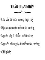 Vấn đề môi trường hiện nay pdf