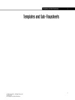 Templates and Sub-Flowsheets docx