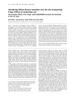 Báo cáo Y học: Introducing Wilson disease mutations into the zinc-transporting P-type ATPase ofEscherichia coli The mutation P634L in theÔhingeÕ motif (GDGXNDXP) perturbs the formation of the E2P state pdf