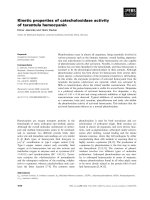 Báo cáo khoa học: Kinetic properties of catecholoxidase activity of tarantula hemocyanin pot