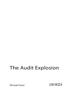 The Audit Explosion doc