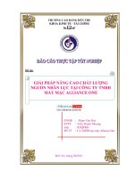 luận văn giải pháp nâng cao chất lượng nguồn nhân lực tại công ty tnhh may mặc alliance one