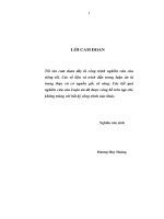 Thúc đẩy xuất khẩu dịch vụ ở việt nam khi là thành viên của tổ chức thương mại thế giới