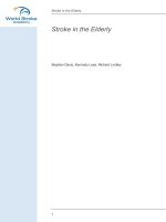 Stroke in the Elderly ppt