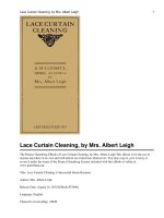 Lace Curtain Cleaning A Successful Home Business pdf