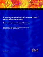 Achieving the Millennium Development Goal of Improving Maternal Health: Determinants, Interventions and Challenges pot