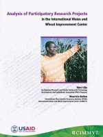 analysis of participatory research projects in the international maize pdf